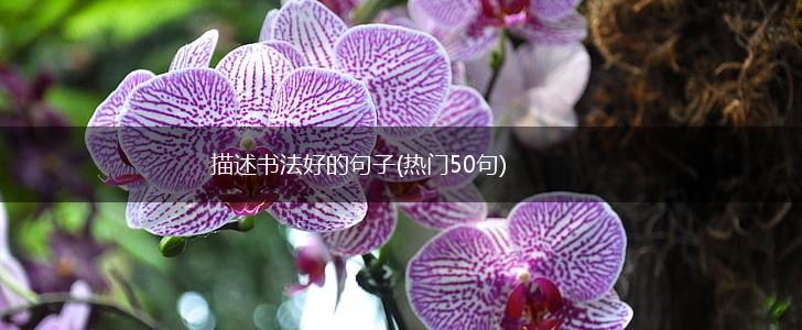 描述书法好的句子(热门50句),第1张