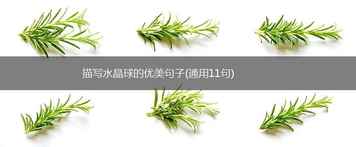 描写水晶球的优美句子(通用11句),第1张