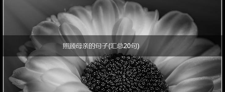 照顾母亲的句子(汇总20句),第1张