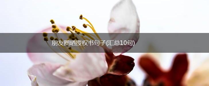 朋友圈晒授权书句子(汇总10句),第1张
