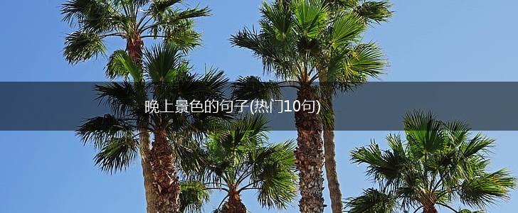 晚上景色的句子(热门10句),第1张