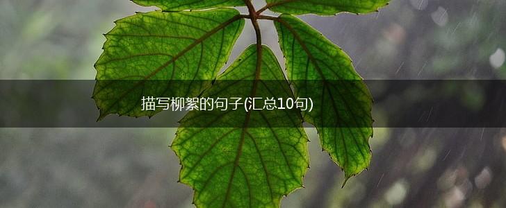 描写柳絮的句子(汇总10句),第1张