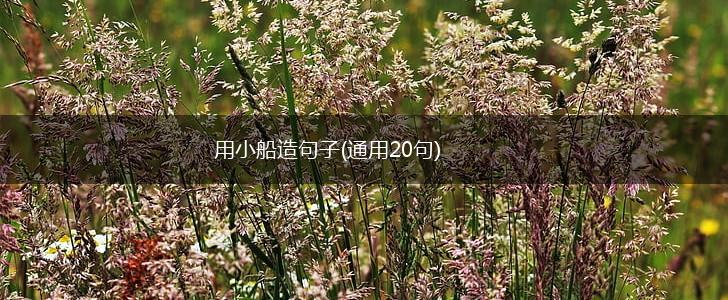 用小船造句子(通用20句),第1张