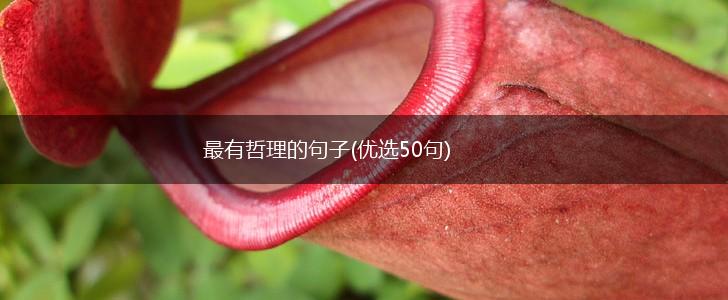 最有哲理的句子(优选50句),第1张