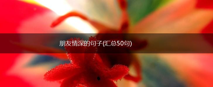 朋友情深的句子(汇总50句),第1张