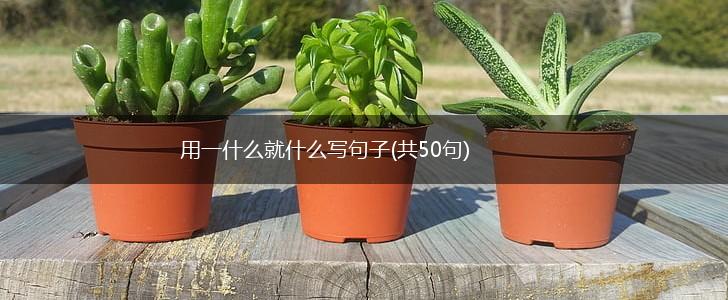 用一什么就什么写句子(共50句),第1张