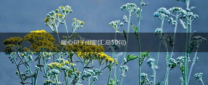 暖心句子闺蜜(汇总50句),第1张