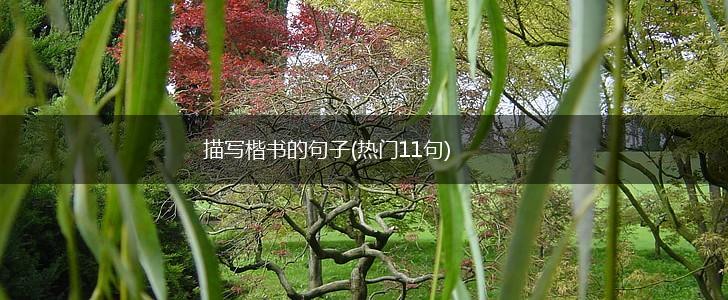 描写楷书的句子(热门11句),第1张