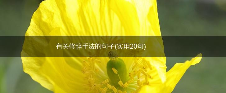 有关修辞手法的句子(实用20句),第1张