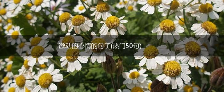 激动的心情的句子(热门50句),第1张