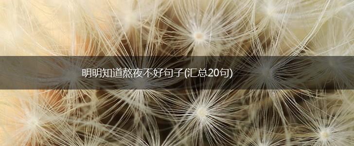 明明知道熬夜不好句子(汇总20句),第1张