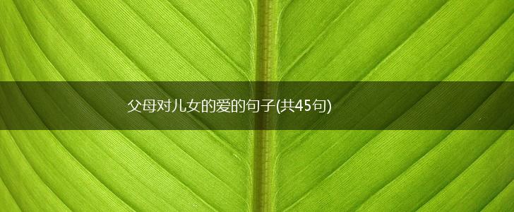 父母对儿女的爱的句子(共45句),第1张
