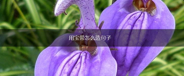 用宝带怎么造句子,第1张