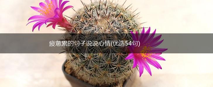 疲惫累的句子说说心情(优选54句),第1张