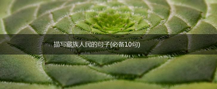 描写藏族人民的句子(必备10句),第1张