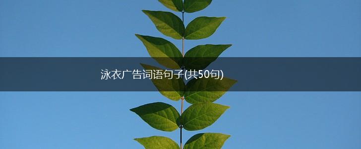 泳衣广告词语句子(共50句),第1张