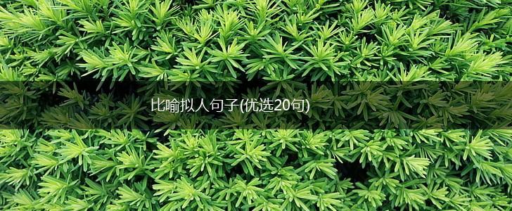 比喻拟人句子(优选20句),第1张