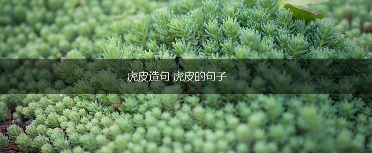 虎皮造句 虎皮的句子,第1张