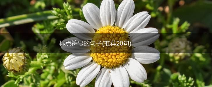 标点符号的句子(推荐20句),第1张