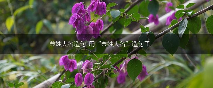 尊姓大名造句_用“尊姓大名”造句子,第1张 尊姓大名造句_用“尊姓大名”造句子,第1张