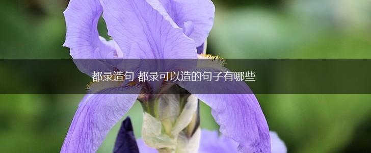 都录造句 都录可以造的句子有哪些,第1张 都录造句 都录可以造的句子有哪些,第1张