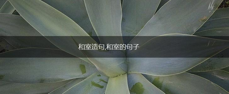 和室造句,和室的句子,第1张