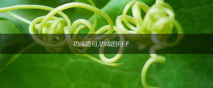 功成造句,功成的句子,第1张