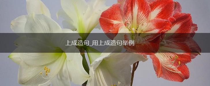 上成造句_用上成造句举例,第1张