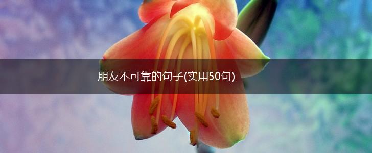 朋友不可靠的句子(实用50句),第1张