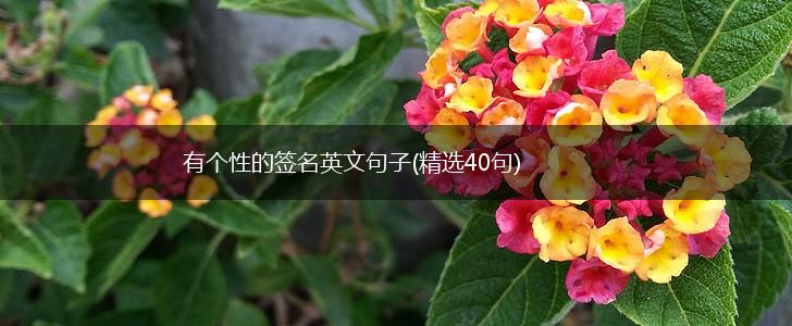 有个性的签名英文句子(精选40句),第1张