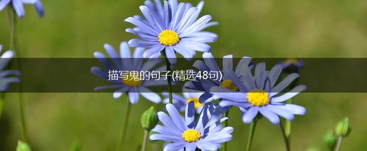 描写鬼的句子(精选48句),第1张