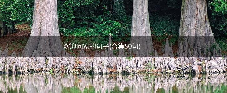 欢迎回家的句子(合集50句),第1张