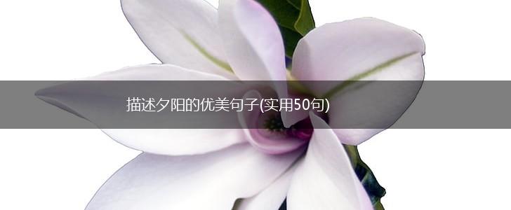 描述夕阳的优美句子(实用50句),第1张
