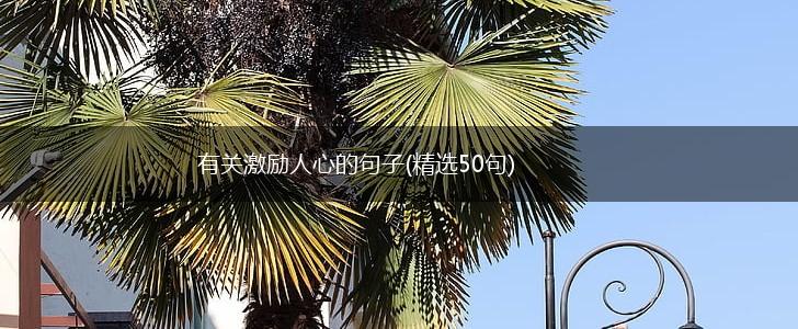 有关激励人心的句子(精选50句),第1张