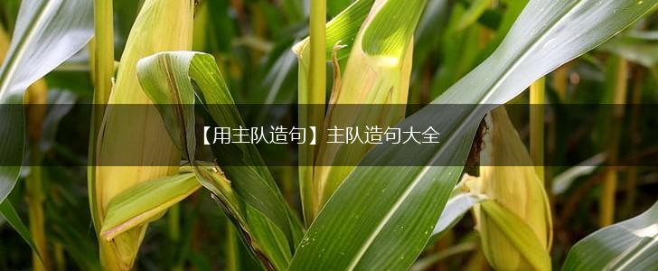 【用主队造句】主队造句大全,第1张 【用主队造句】主队造句大全,第1张