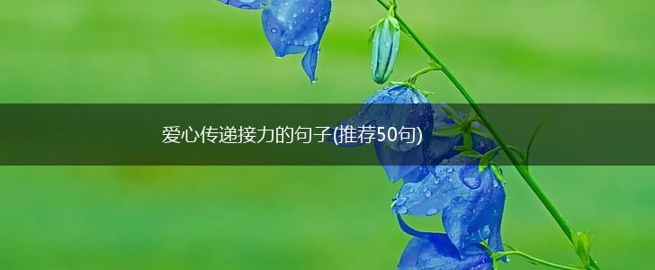 爱心传递接力的句子(推荐50句),第1张