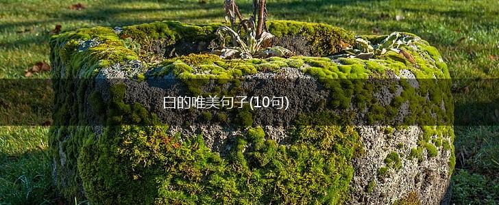 白的唯美句子(10句),第1张