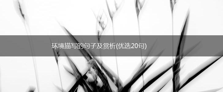 环境描写的句子及赏析(优选20句),第1张