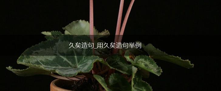久矣造句_用久矣造句举例,第1张