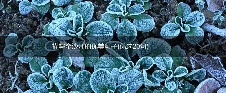 描写金沙江的优美句子(优选20句),第1张