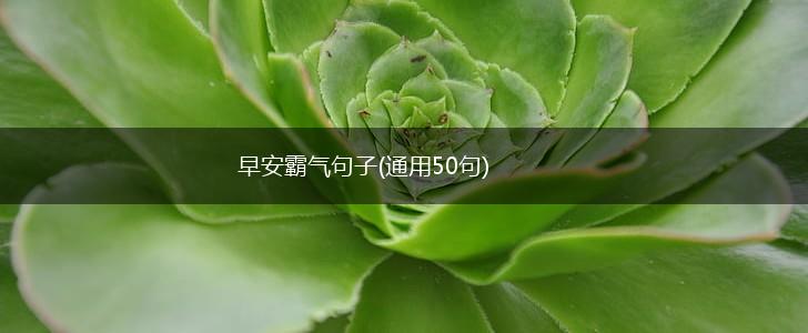 早安霸气句子(通用50句),第1张