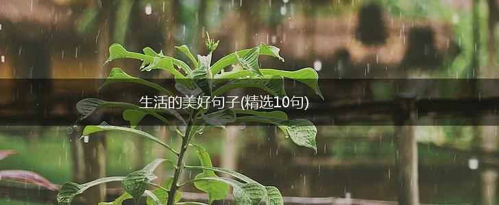 生活的美好句子(精选10句),第1张