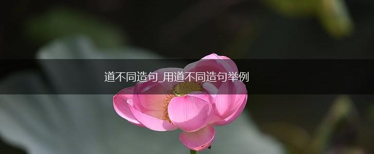 道不同造句_用道不同造句举例,第1张 道不同造句_用道不同造句举例,第1张