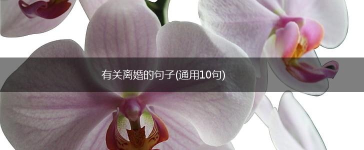 有关离婚的句子(通用10句),第1张