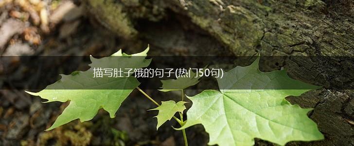 描写肚子饿的句子(热门50句),第1张