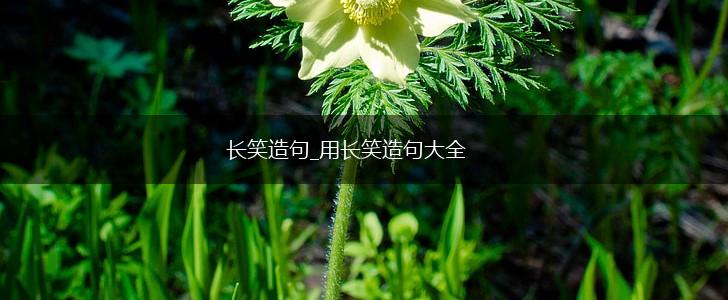 长笑造句_用长笑造句大全,第1张
