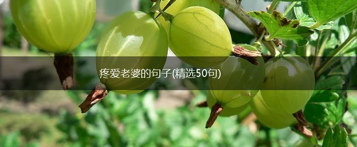 疼爱老婆的句子(精选50句),第1张