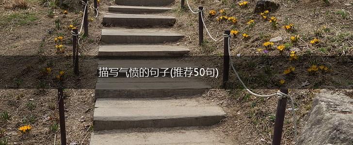 描写气愤的句子(推荐50句),第1张