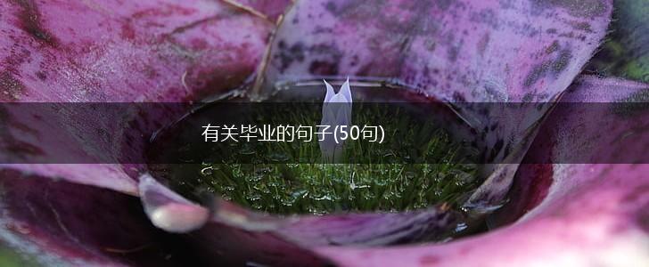 有关毕业的句子(50句),第1张