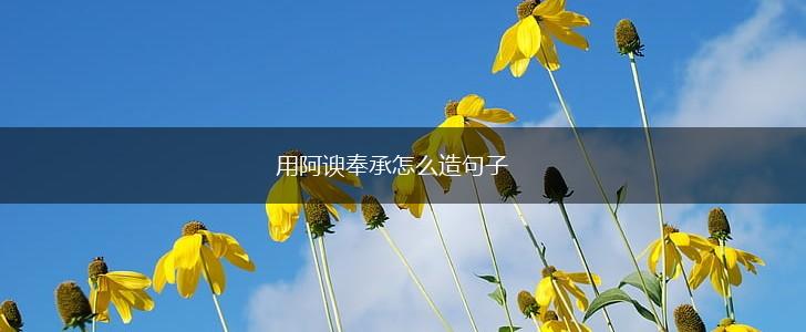 用阿谀奉承怎么造句子,第1张